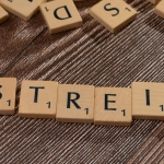 Методика изучения игорных порталов немецкой аудитории в образовании