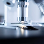 Геймификация в образовании и анализ игровых механик